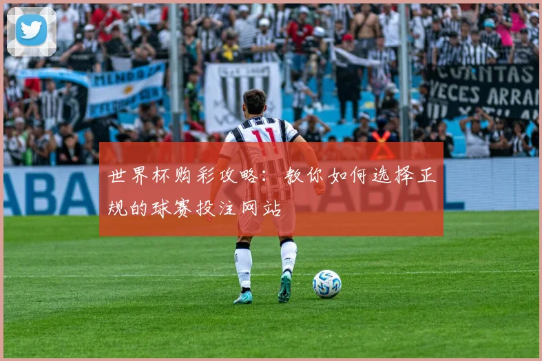 世界杯购彩攻略：教你如何选择正规的球赛投注网站