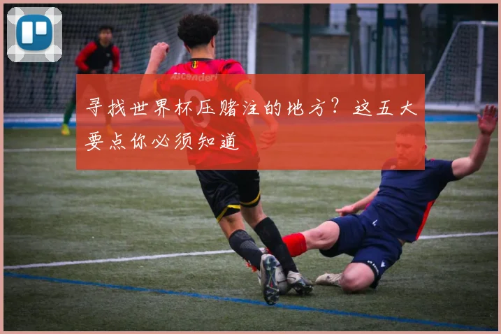 寻找世界杯压赌注的地方？这五大要点你必须知道