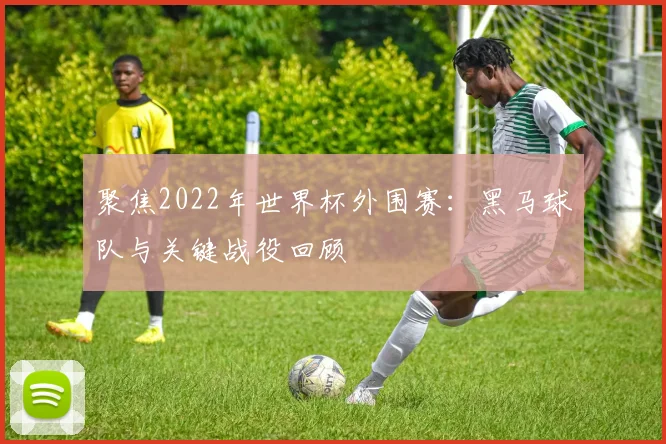 聚焦2022年世界杯外围赛：黑马球队与关键战役回顾